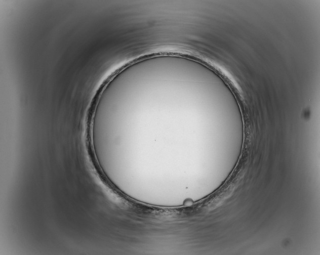 X0000099410991200805090723