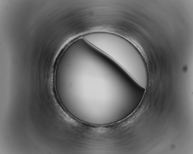 X0000099410992200805090723