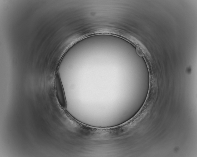 X0000099410993200805090723