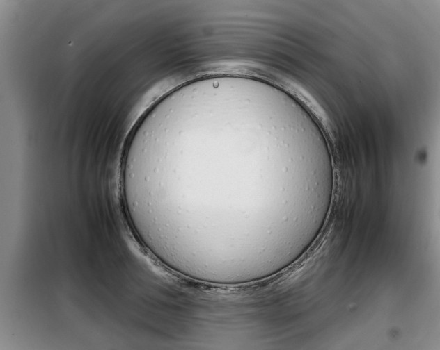 X0000099410994200805090723