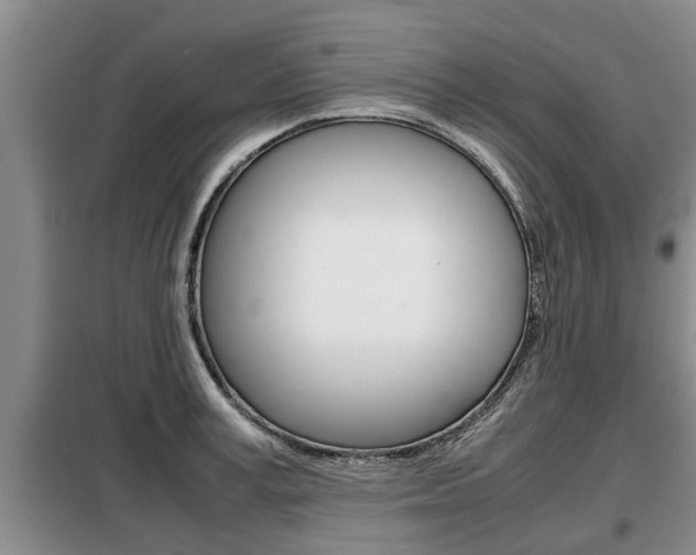 X0000099410995200805090723