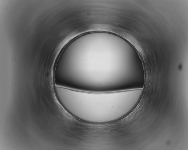 X0000099410996200805090723