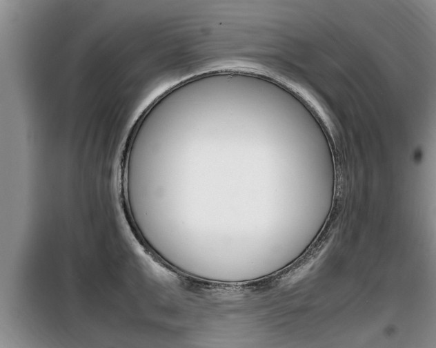 X0000099410999200805090723