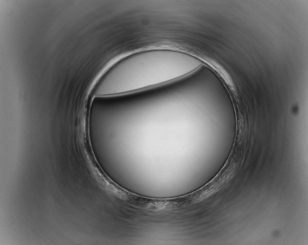 X0000099411000200805090723