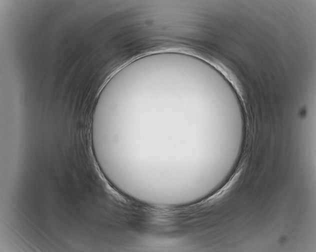 X0000099411001200805090723