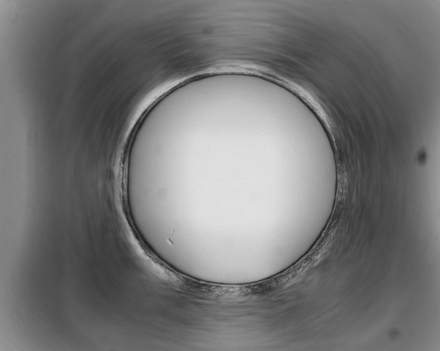 X0000099411003200805090723