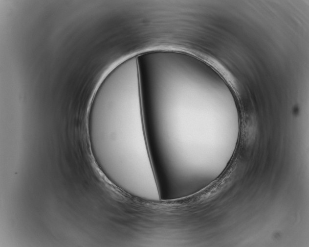 X0000099411004200805090723