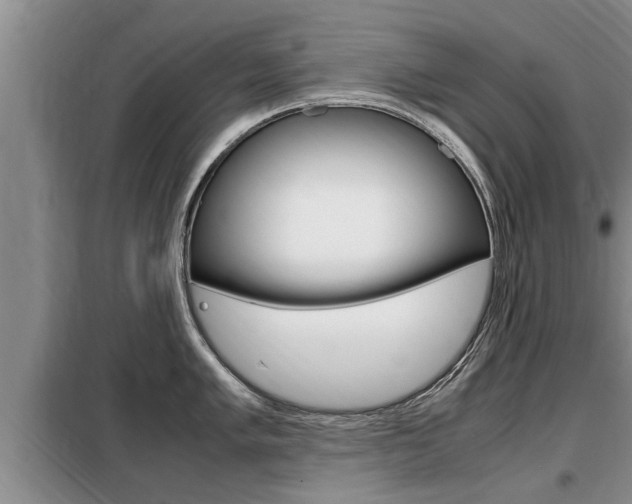 X0000099411005200805090723