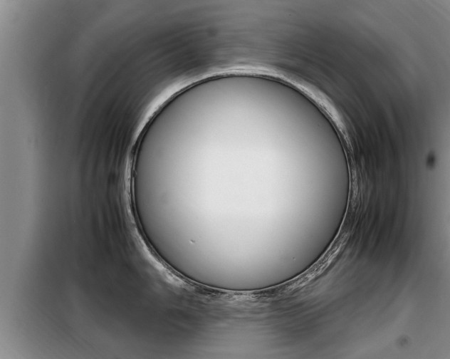 X0000099411006200805090723