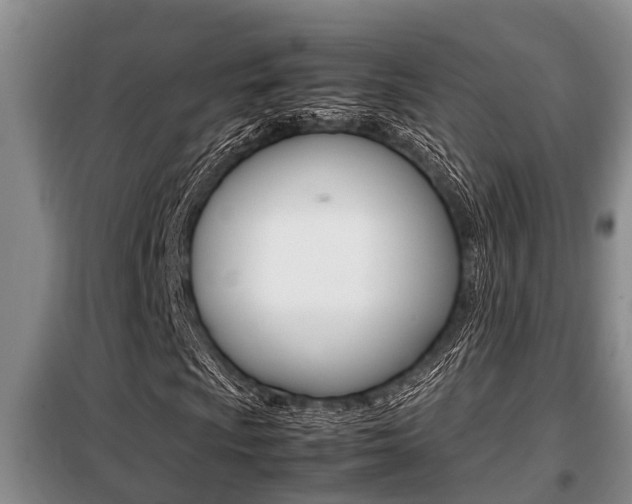 X0000099411009200805090722