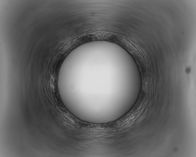 X0000099411010200805090722