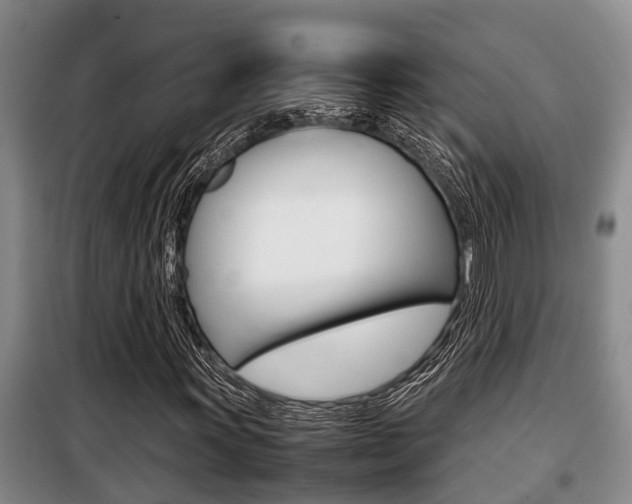 X0000099411011200805090722