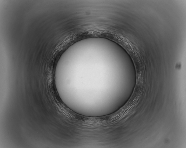 X0000099411012200805090722