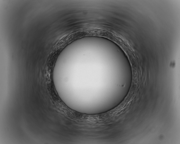X0000099411013200805090722