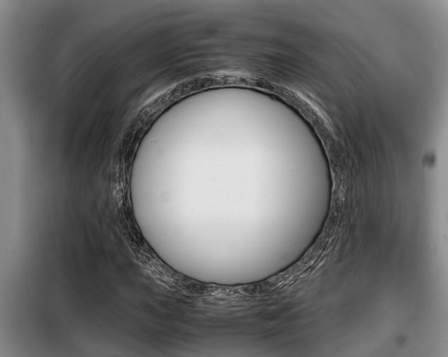 X0000099411015200805090722