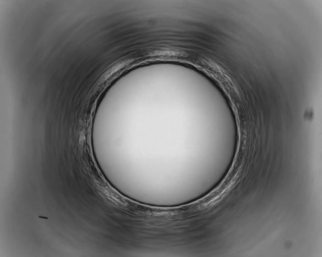 X0000099411017200805090722