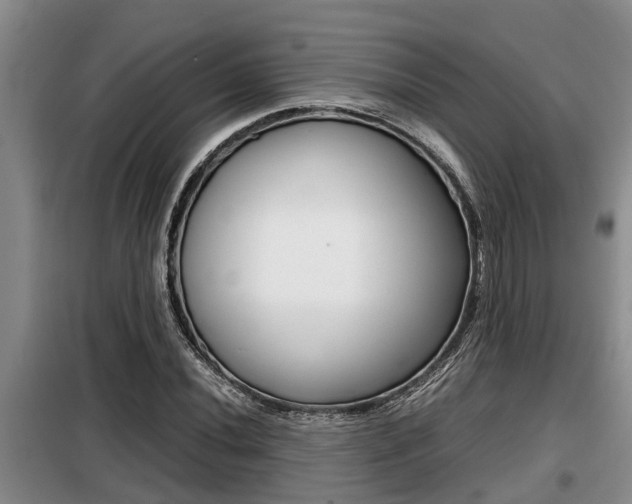 X0000099411020200805090722