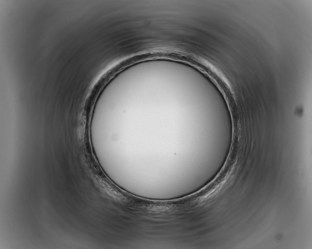 X0000099411021200805090722