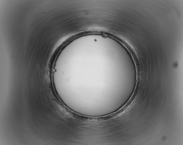 X0000099411022200805090722