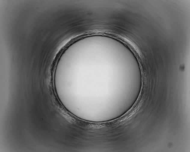 X0000099411023200805090722