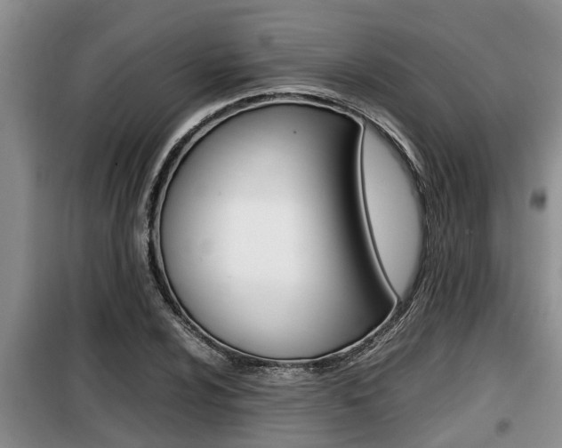 X0000099411024200805090722
