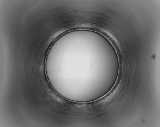 X0000099411025200805090722