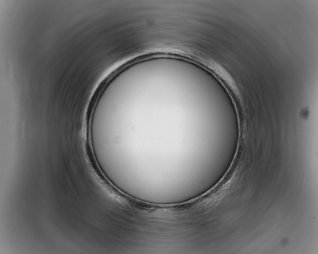 X0000099411028200805090722