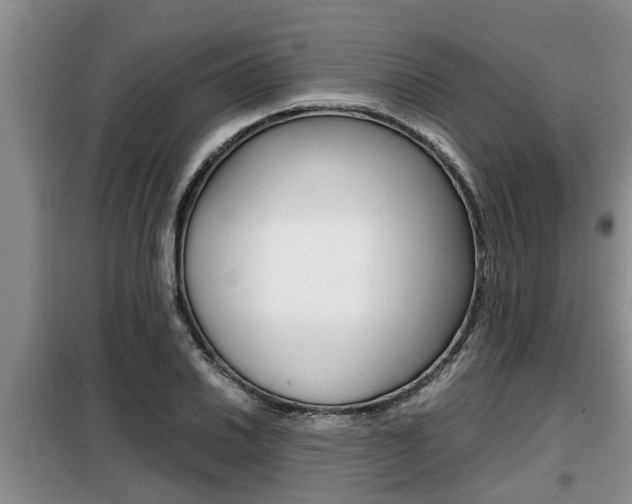 X0000099411030200805090722