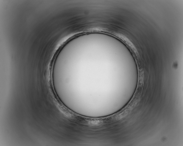 X0000099411031200805090722