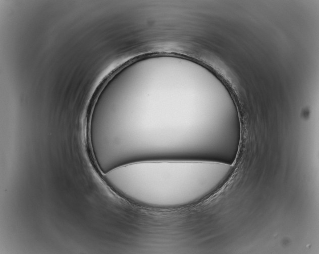 X0000099411032200805090722