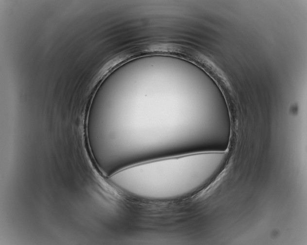 X0000099411033200805090722