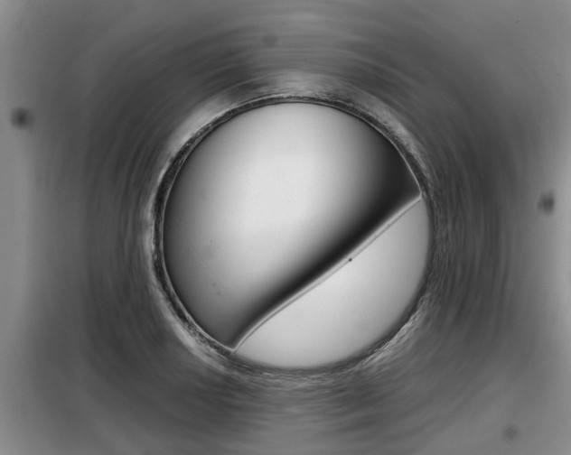 X0000099411034200805090723