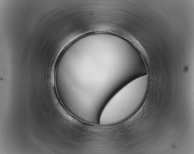 X0000099411036200805090723
