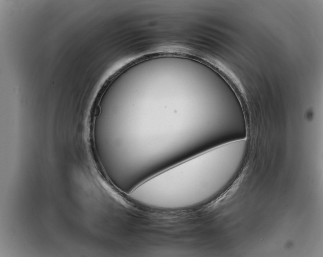 X0000099411037200805090723