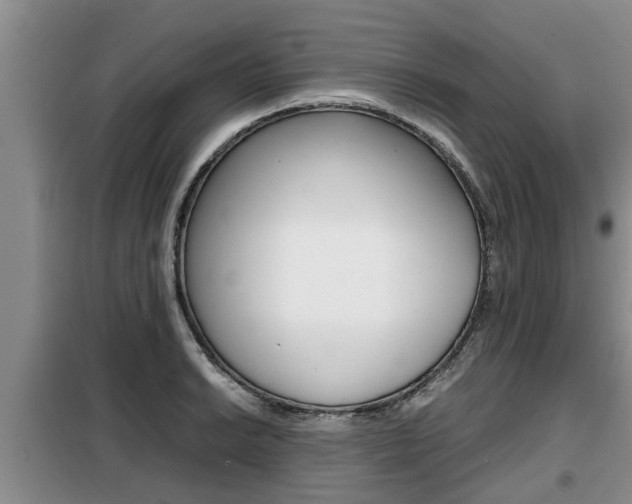 X0000099411038200805090723