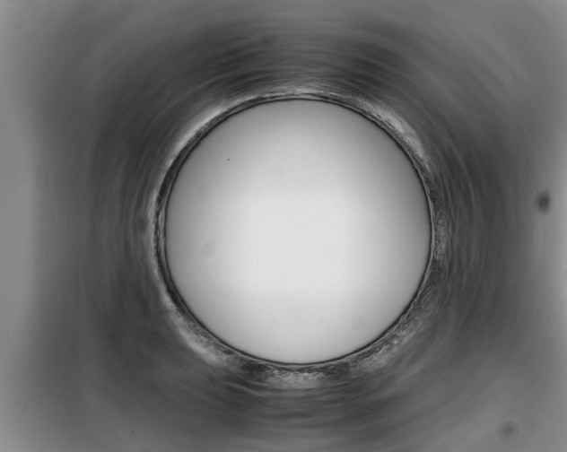 X0000099411039200805090723