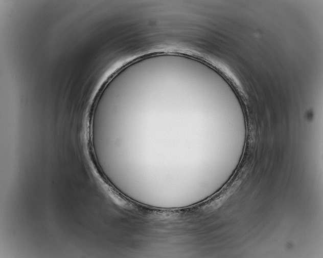 X0000099411040200805090723