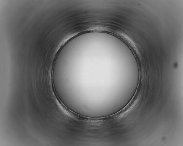 X0000099411041200805090723