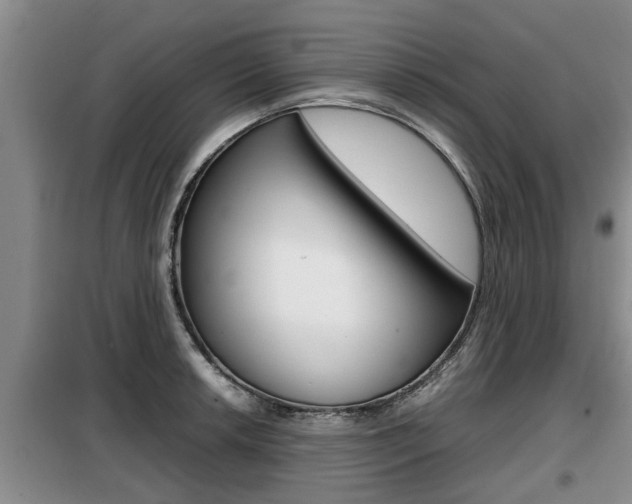 X0000099411042200805090723