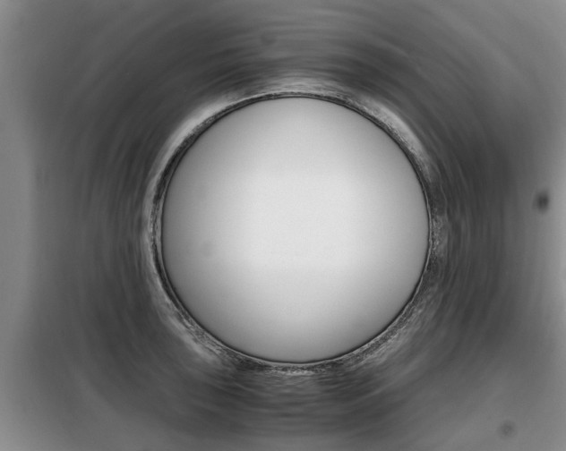 X0000099411043200805090723