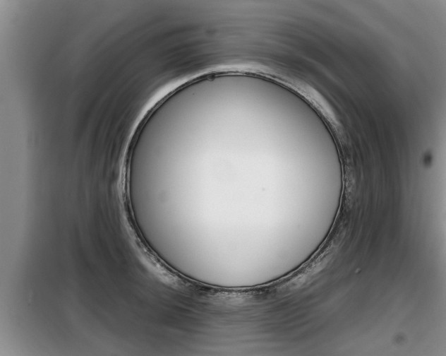 X0000099411044200805090723