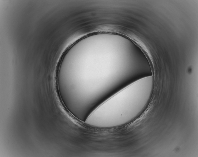 X0000099411045200805090723