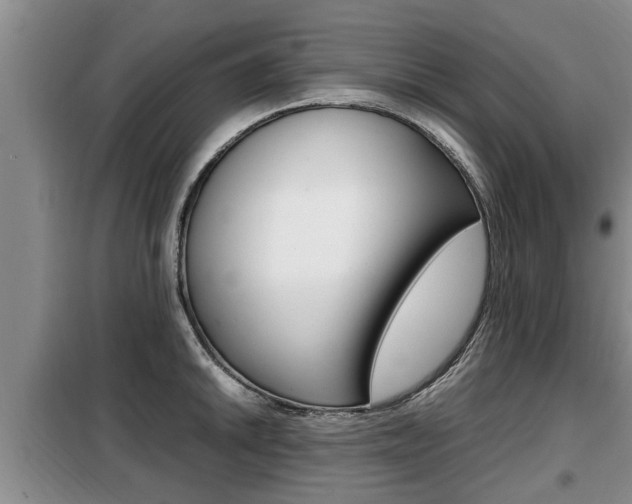 X0000099411046200805090723