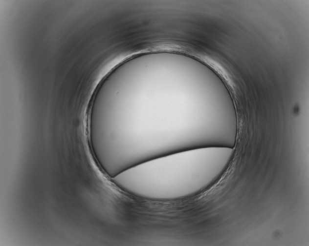 X0000099411047200805090723