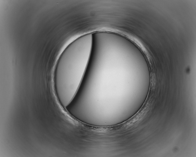 X0000099411048200805090723