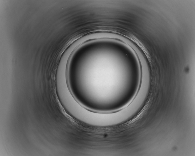 X0000099411049200805090723