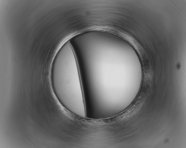 X0000099411050200805090723