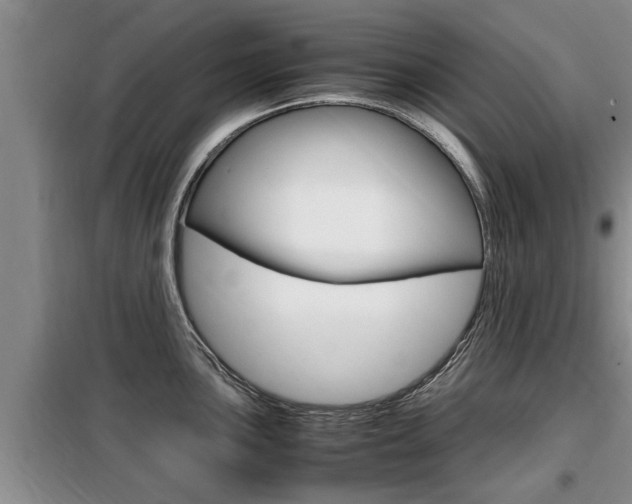 X0000099411051200805090723