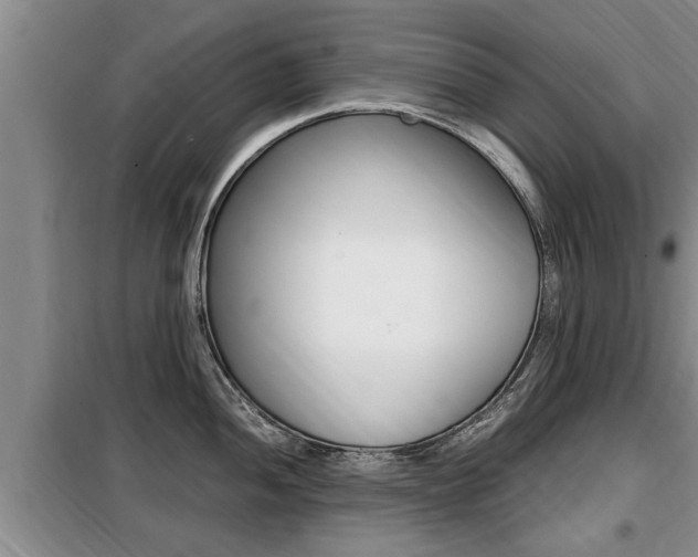 X0000099411052200805090723