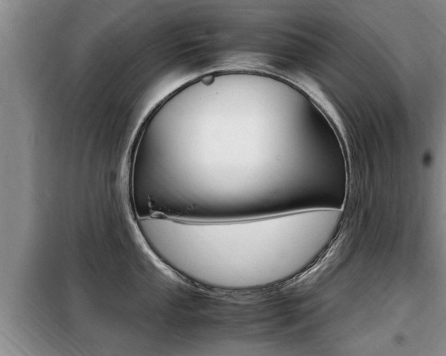 X0000099411053200805090723